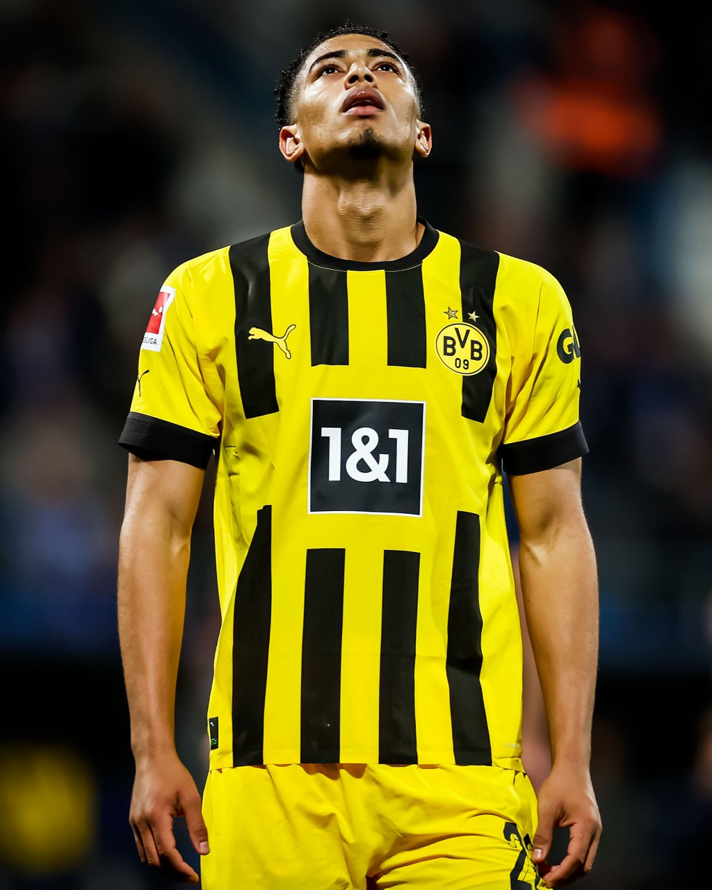 半岛体育官网入口-多特蒙德客场大胜，继续保持胜利势头的简单介绍