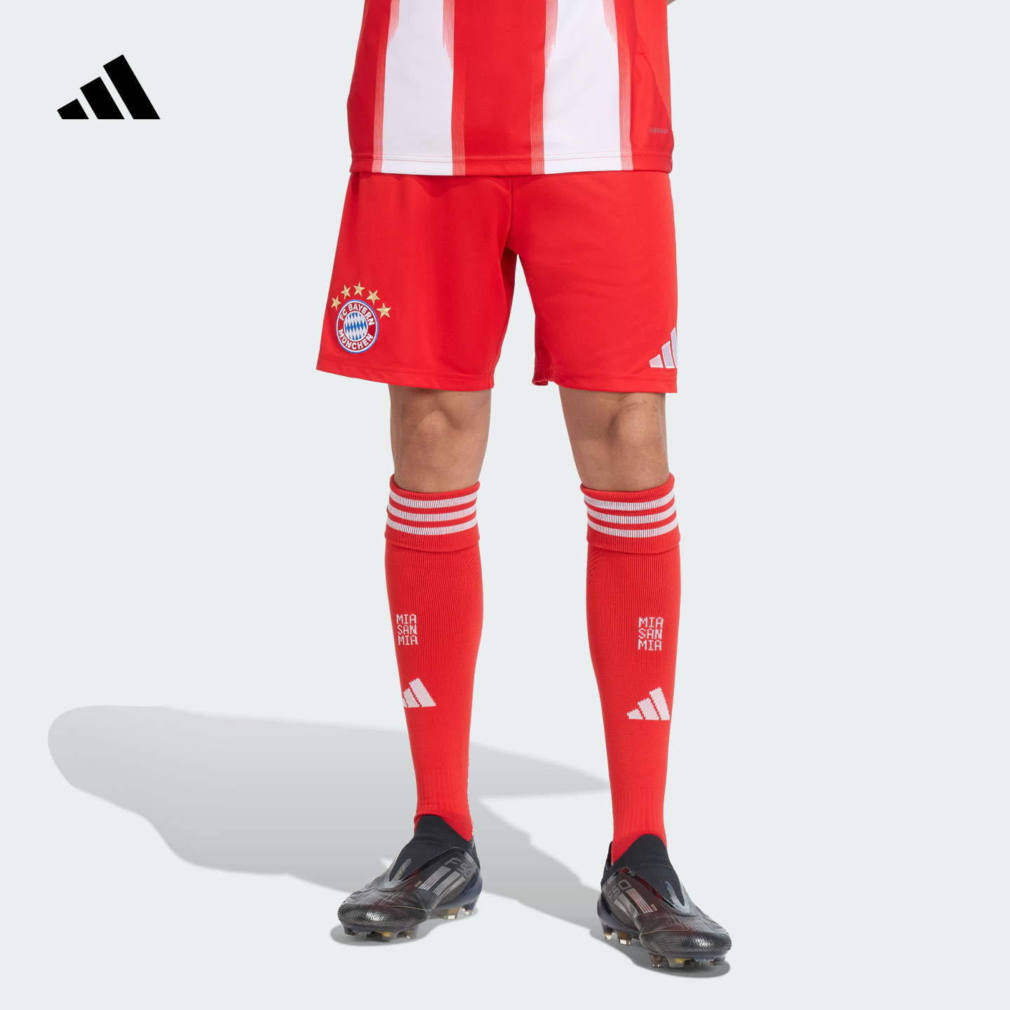 半岛体育教练-包含拜仁慕尼黑球迷怀着信念前往球场的词条